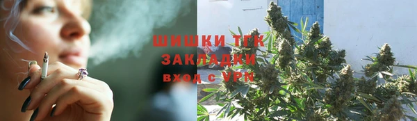 ГАЛЛЮЦИНОГЕННЫЕ ГРИБЫ Абаза