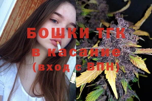 ГАЛЛЮЦИНОГЕННЫЕ ГРИБЫ Абаза