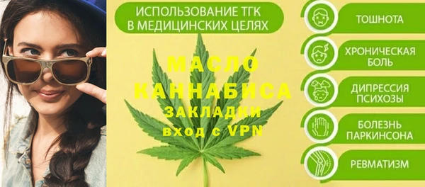 тгк Инсар